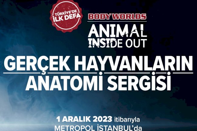 Gerçek Hayvanların Anatomi sergisi Başlıyor